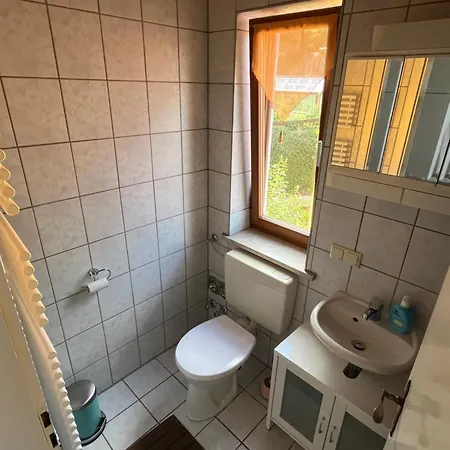 Kleine Auf Dem Huehnerhof Im Stadtbusbereich *